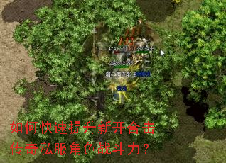 如何快速提升新开合击传奇私服角色战斗力? 如何快速提升新开合击传奇私服角色战斗力?