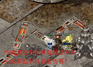 ������Ϸ�������Ч������ɫ�ı������뱩���˺���