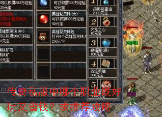传奇私服中哪个职业既好玩又省钱?求推荐攻略 传奇私服中哪个职业既好玩又省钱?求推荐攻略