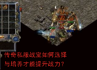传奇私服战宠如何选择与培养才能提升战力? 传奇私服战宠如何选择与培养才能提升战力?