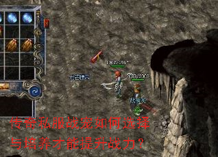 传奇私服战宠如何选择与培养才能提升战力? 传奇私服战宠如何选择与培养才能提升战力?