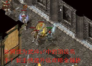 如何成为武神sf中的顶级高手?新手快速升级攻略全解析 如何成为武神sf中的顶级高手?新手快速升级攻略全解析