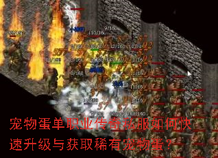 宠物蛋单职业传奇私服如何快速升级与获取稀有宠物蛋? 宠物蛋单职业传奇私服如何快速升级与获取稀有宠物蛋?