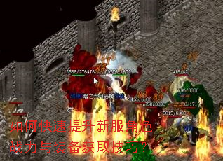如何快速提升新服角色战力与装备获取技巧? 如何快速提升新服角色战力与装备获取技巧?
