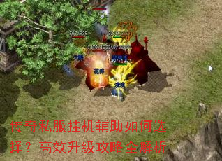 传奇私服挂机辅助如何选择?高效升级攻略全解析 传奇私服挂机辅助如何选择?高效升级攻略全解析