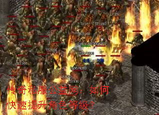 传奇私服公益网:如何快速提升角色等级? 传奇私服公益网:如何快速提升角色等级?
