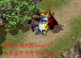 ��θ�Ч����haosf��������������Ϸս����
