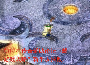 ����ڴ��渨����̳������Ϸ���ԣ�������ָ�̡�
