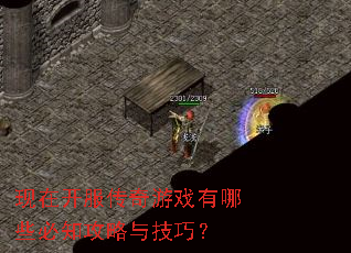 现在开服传奇游戏有哪些必知攻略与技巧? 现在开服传奇游戏有哪些必知攻略与技巧?