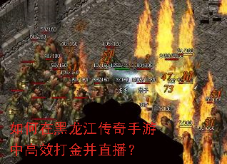 如何在黑龙江传奇手游中高效打金并直播? 如何在黑龙江传奇手游中高效打金并直播?