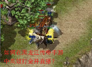 如何在黑龙江传奇手游中高效打金并直播? 如何在黑龙江传奇手游中高效打金并直播?