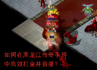 如何在黑龙江传奇手游中高效打金并直播? 如何在黑龙江传奇手游中高效打金并直播?