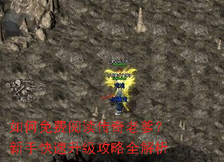 如何免费阅读传奇老爹?新手快速升级攻略全解析 如何免费阅读传奇老爹?新手快速升级攻略全解析