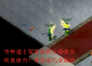 传奇道士宝宝如何正确休息恢复体力?休息技巧全解析 传奇道士宝宝如何正确休息恢复体力?休息技巧全解析