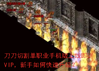 刀刀切割单职业手机版上线即送VIP,新手如何快速升级? 刀刀切割单职业手机版上线即送VIP,新手如何快速升级?