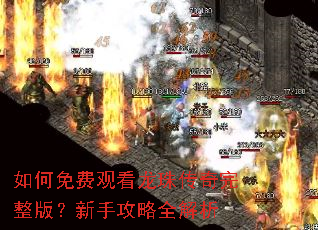 如何免费观看龙珠传奇完整版?新手攻略全解析 如何免费观看龙珠传奇完整版?新手攻略全解析