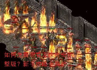 如何免费观看龙珠传奇完整版?新手攻略全解析 如何免费观看龙珠传奇完整版?新手攻略全解析