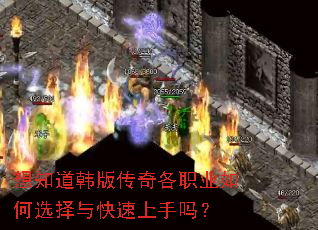 想知道韩版传奇各职业如何选择与快速上手吗? 想知道韩版传奇各职业如何选择与快速上手吗?