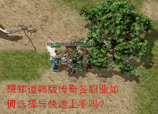 想知道韩版传奇各职业如何选择与快速上手吗? 想知道韩版传奇各职业如何选择与快速上手吗?