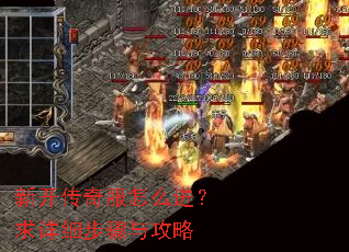 新开传奇服怎么进?求详细步骤与攻略 新开传奇服怎么进?求详细步骤与攻略