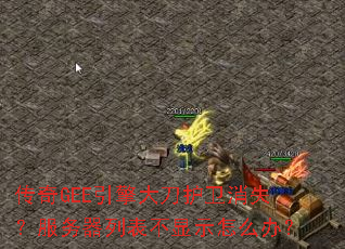 传奇GEE引擎大刀护卫消失?服务器列表不显示怎么办? 传奇GEE引擎大刀护卫消失?服务器列表不显示怎么办?
