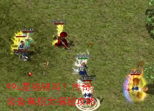 99s是纯银吗?传奇装备真相大揭秘攻略 99s是纯银吗?传奇装备真相大揭秘攻略