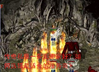 传奇私服一条龙哪家好?如何选择最适合的服务商? 传奇私服一条龙哪家好?如何选择最适合的服务商?