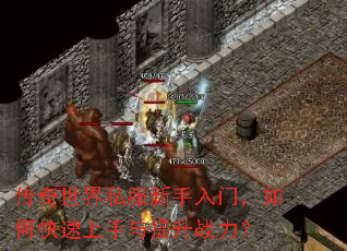 传奇世界私服新手入门,如何快速上手与提升战力? 传奇世界私服新手入门,如何快速上手与提升战力?