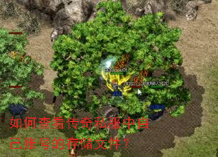 如何查看传奇私服中自己账号的存储文件? 如何查看传奇私服中自己账号的存储文件?