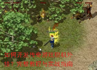 如何开发传奇游戏脱机外挂?完整教程与实战指南 如何开发传奇游戏脱机外挂?完整教程与实战指南