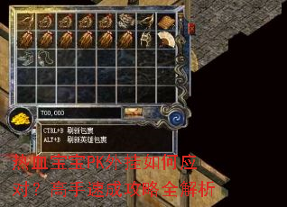 热血宝宝PK外挂如何应对?高手速成攻略全解析 热血宝宝PK外挂如何应对?高手速成攻略全解析