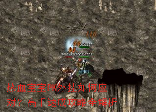 热血宝宝PK外挂如何应对?高手速成攻略全解析 热血宝宝PK外挂如何应对?高手速成攻略全解析
