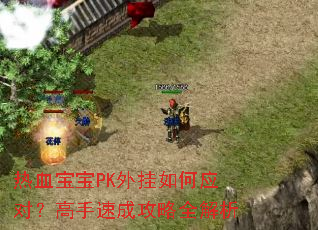 热血宝宝PK外挂如何应对?高手速成攻略全解析 热血宝宝PK外挂如何应对?高手速成攻略全解析