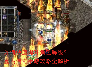 如何快速提升角色等级?复古传奇手游攻略全解析 如何快速提升角色等级?复古传奇手游攻略全解析