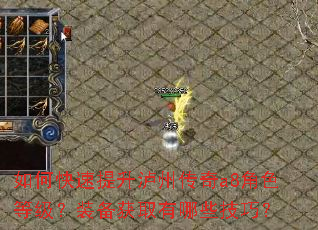 如何快速提升泸州传奇a8角色等级?装备获取有哪些技巧? 如何快速提升泸州传奇a8角色等级?装备获取有哪些技巧?