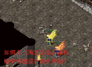 如何在《海之乐章》单机版中快速提升角色等级? 如何在《海之乐章》单机版中快速提升角色等级?