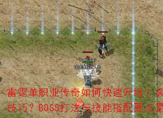 ������ְҵ������ο���������װ����ȡ����Щ���ɣ�BOSS���뼼�ܴ���Ҫ����ʲô��