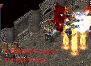 如何快速提升火龙传奇手游角色等级? 如何快速提升火龙传奇手游角色等级?