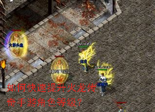 如何快速提升火龙传奇手游角色等级? 如何快速提升火龙传奇手游角色等级?