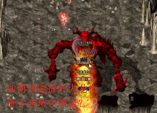 如何快速提升火龙传奇手游角色等级? 如何快速提升火龙传奇手游角色等级?