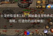 火龙终极版本1.85：揭秘最佳宠物养成攻略，打造你的战场神兽！
